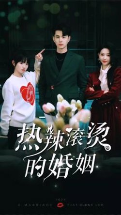 热辣滚烫的婚姻在线观看