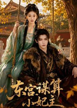 东宫谋算小妃主在线观看