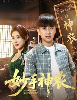 妙手神农高清播放