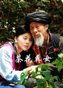 茶花彝女在线观看
