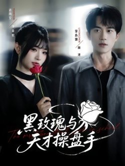 黑玫瑰与天才操盘手高清播放