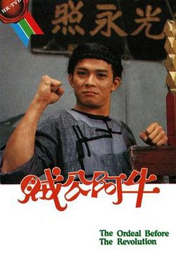 贼公阿牛国语在线观看
