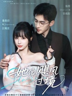 她像飓风过境高清播放
