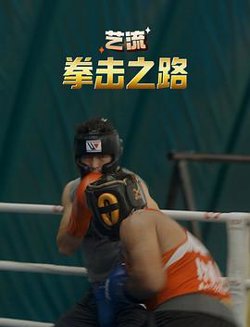 艺流·拳击之路高清播放