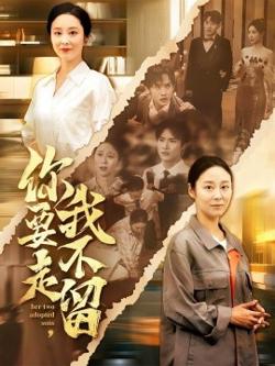 你要走我不留高清播放