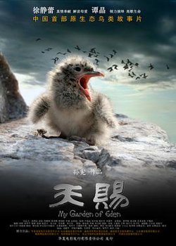 天赐在线观看