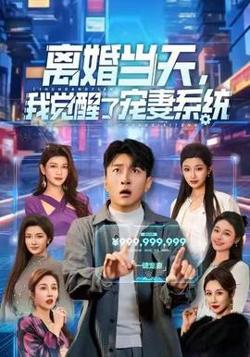 离婚当天，我觉醒了宠妻系统在线观看