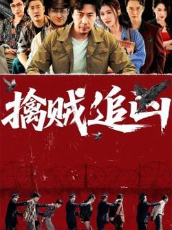 擒贼追凶高清播放
