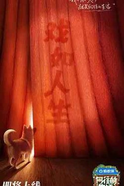 向往的生活 第八季高清播放