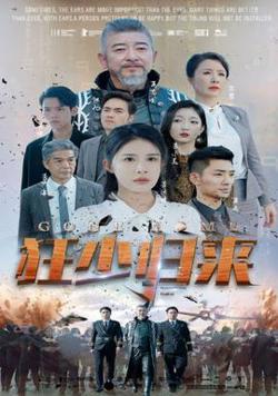 狂少归来在线观看