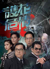 护花危情在线观看