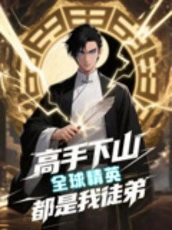 高手下山全球精英都是我徒弟高清播放