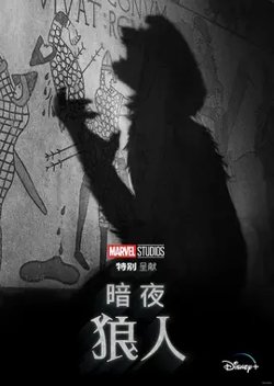 暗夜狼人【影视解说】在线观看