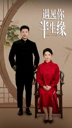 遇见你半生缘在线观看