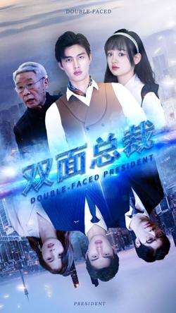 双面总裁高清播放