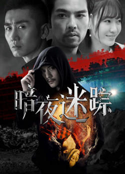 暗夜迷踪高清播放
