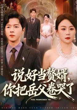 说好当赘婿，你把岳父卷哭了高清播放