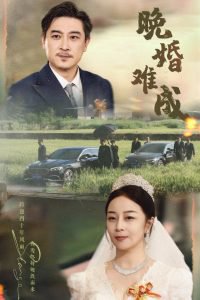 晚婚难成高清播放