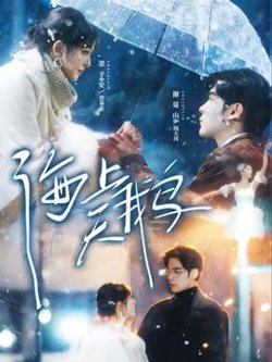 海上天鹅高清播放