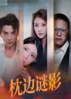 枕边谜影&我撞破了妻子的秘密高清播放