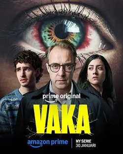 Vaka高清播放