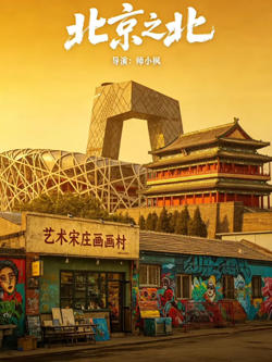 北京偏北——宋高清播放
