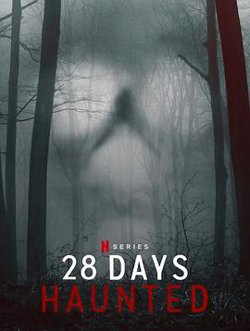 闹鬼实境28天在线观看