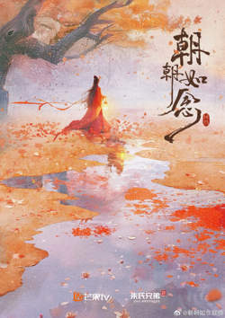 朝朝如念 电影版