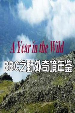 野外奇境年鉴高清播放