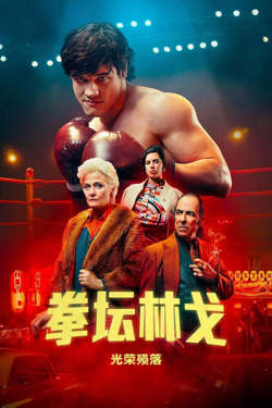 拳坛林戈：光荣殒落高清播放