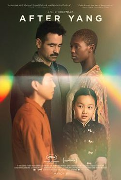 杨之后高清播放
