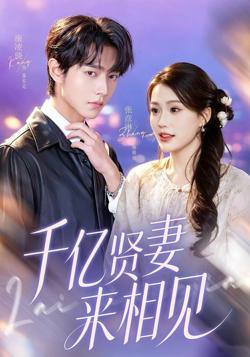 钻石贤妻来相见(千亿贤妻来相见)