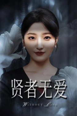 贤者无爱高清播放