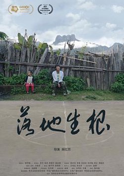落地生根[预告片]在线观看