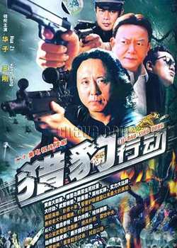 金海岸高清播放