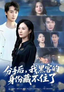 分手后，我黑客的身份藏不住了高清播放