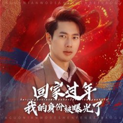 回家过年我的身份被曝光了高清播放