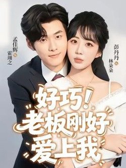 老板刚好爱上我