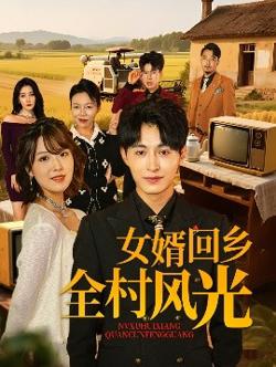 女婿回乡全村风光高清播放