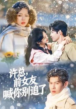 许总，前女友喊你别追了高清播放