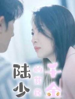 陆少的贫民千金高清播放