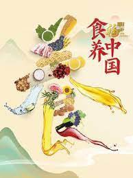 食养中国高清播放