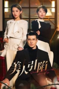 美人引陷高清播放