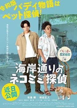 海岸大街上的猫咪侦探高清播放