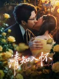 清知入怀