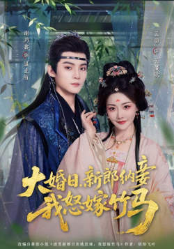 大婚日，新郎纳妾我怒嫁竹马在线观看