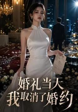 婚礼当天我取消了婚约在线观看