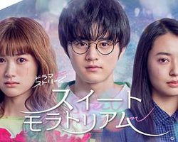 甜蜜的宽恕高清播放