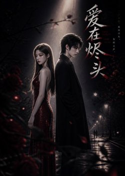 爱在烬头高清播放