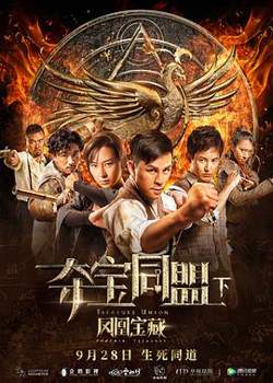 夺宝同盟之凤凰宝藏高清播放